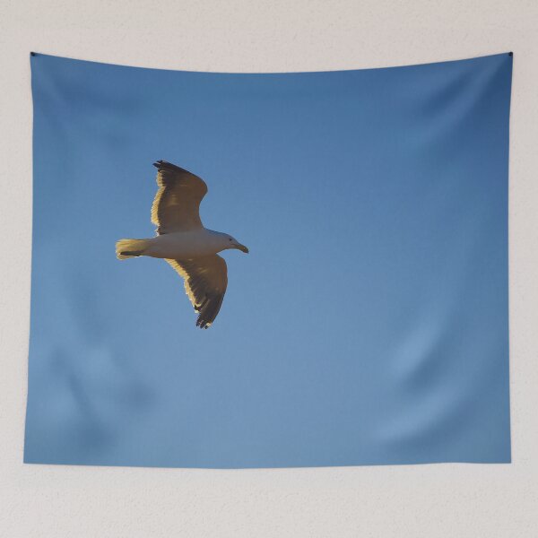 Item preview, South African Seagull  designed and sold by Landscapology.