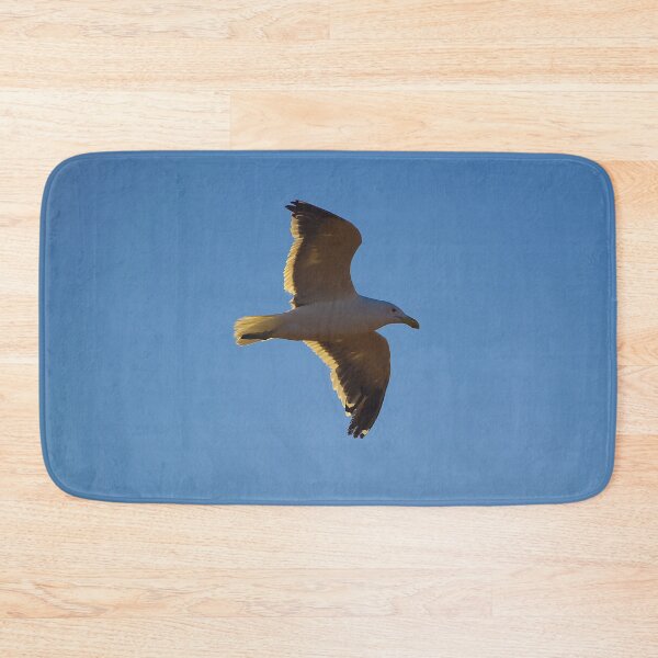 Item preview, South African Seagull  designed and sold by Landscapology.