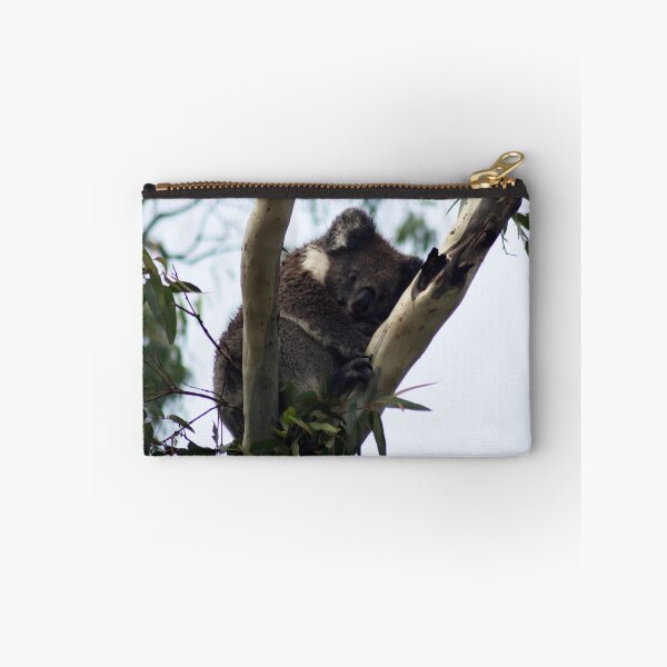 Item preview, Koala at Mt. Lofty, Adelaide designed and sold by Lauren Shawyer.