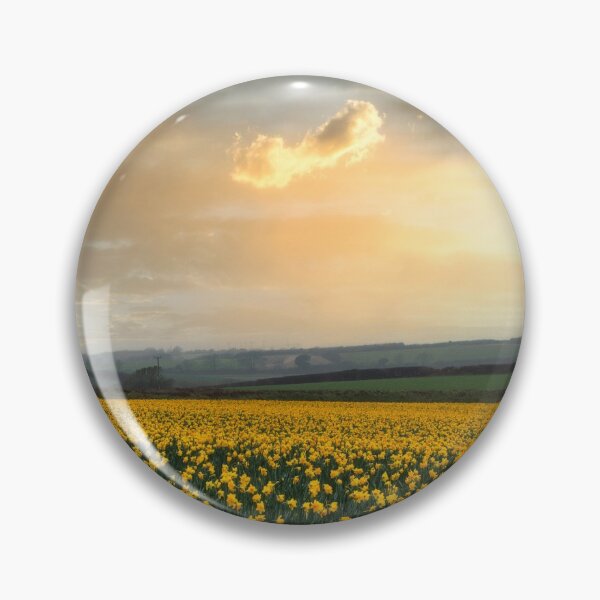 Item preview, Daffodils fields  Cornwall at sunset springtime designed and sold by kathleenjean.