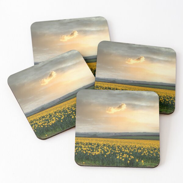 Item preview, Daffodils fields  Cornwall at sunset springtime designed and sold by kathleenjean.