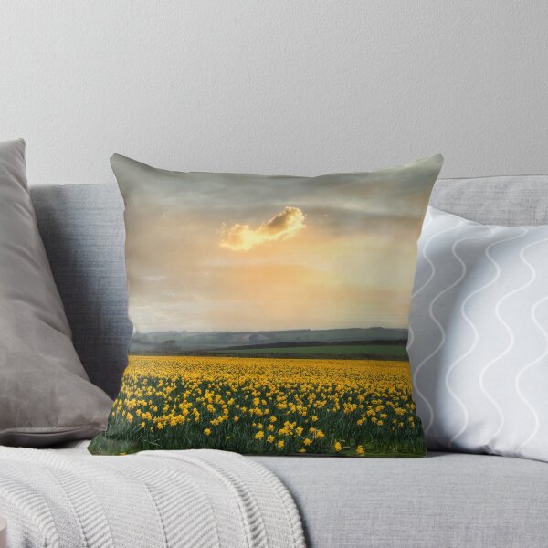 Item preview, Daffodils fields  Cornwall at sunset springtime designed and sold by kathleenjean.