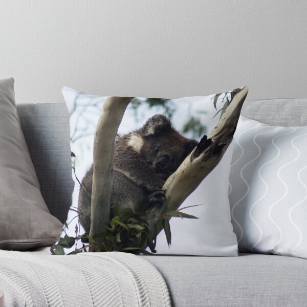 Item preview, Koala at Mt. Lofty, Adelaide designed and sold by Lauren Shawyer.