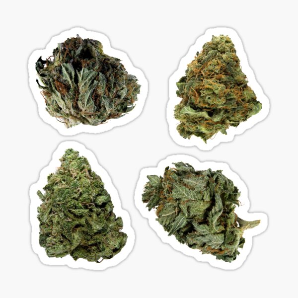 Bud Set 04 (Sticker/Magnet) Sticker