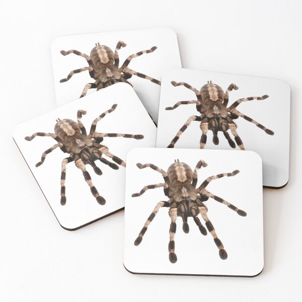 Item preview, little spider, tarantula, spider designed and sold by Viktoriia Trubiichuk.