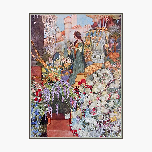 Item preview, The sensitive plant by Charles Robinson. 1911 designed and sold by likiska.