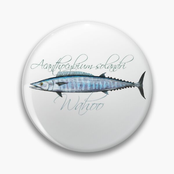 Item preview, Wahoo · Acanthocybium solandri designed and sold by Studiocoffeecat.