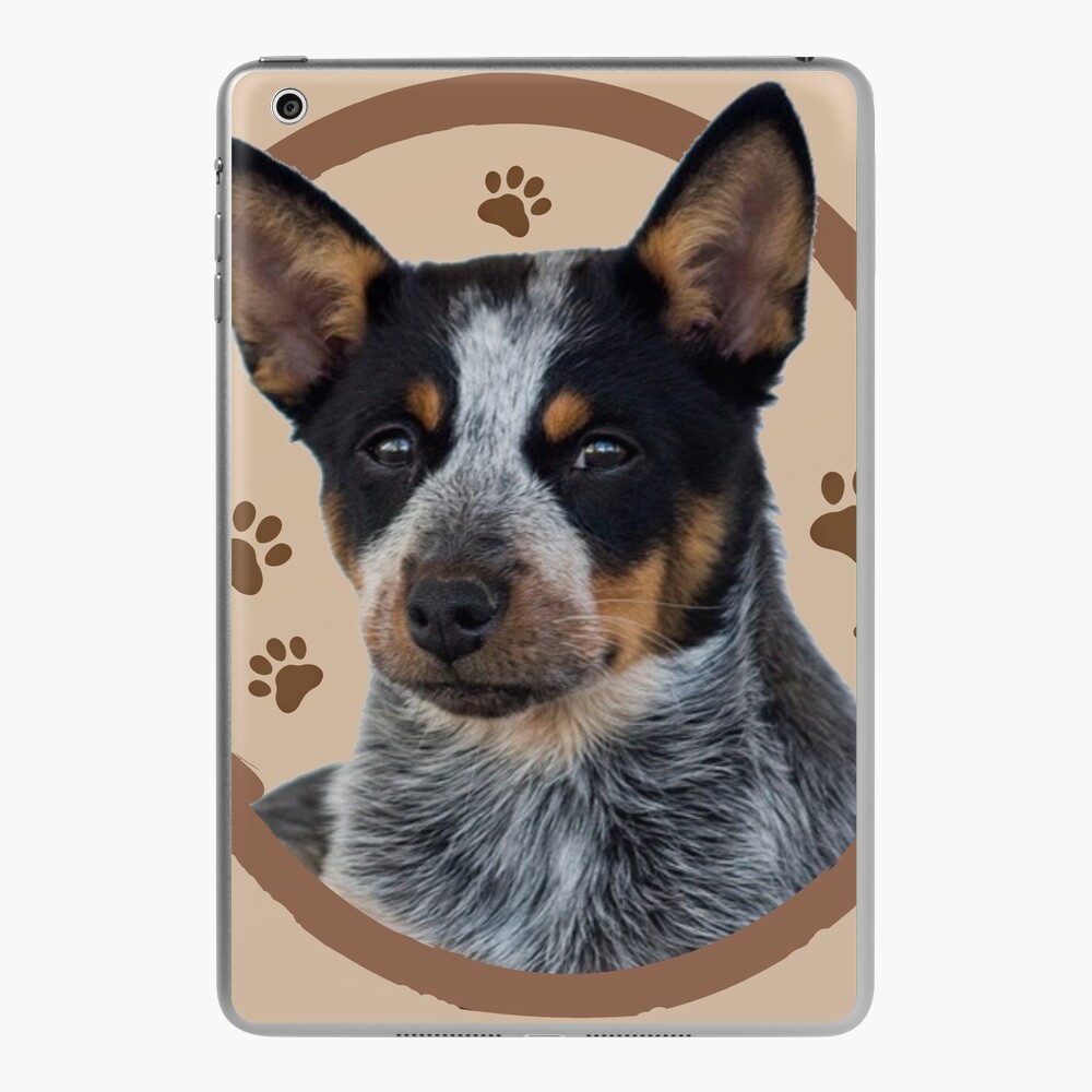 23 Australian Cattle Dog (Red & Blue Heeler) ideas