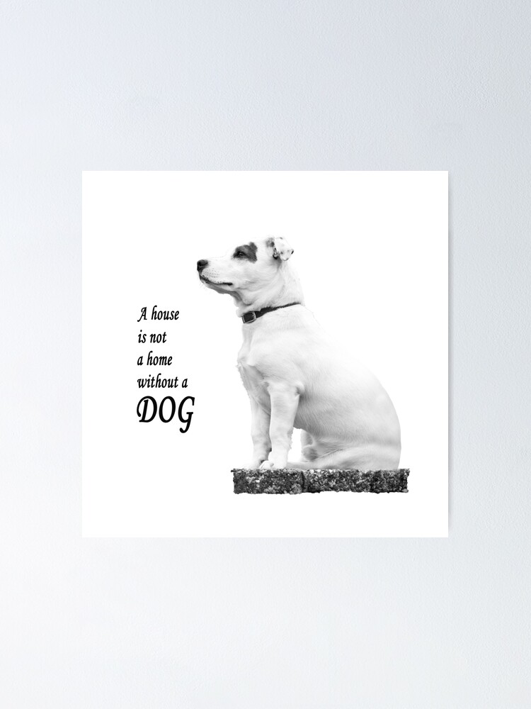 Plaque De Maison HOme 'Une Maison N'est Pas Une Maison Sans Chien' - Neuve