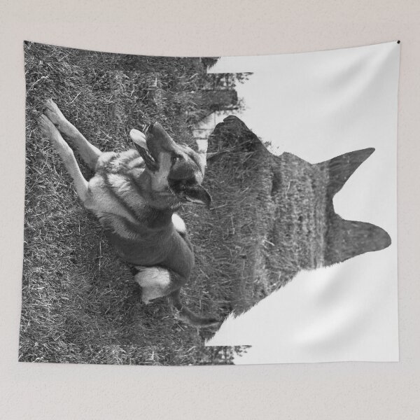 Item preview, r2727 / Finition 2021 / 5 " Les Chiens de l'Armée et moi , un contact personnel (c)(h) Olavia-Olao Okaio Créations designed and sold by o.okaïo.