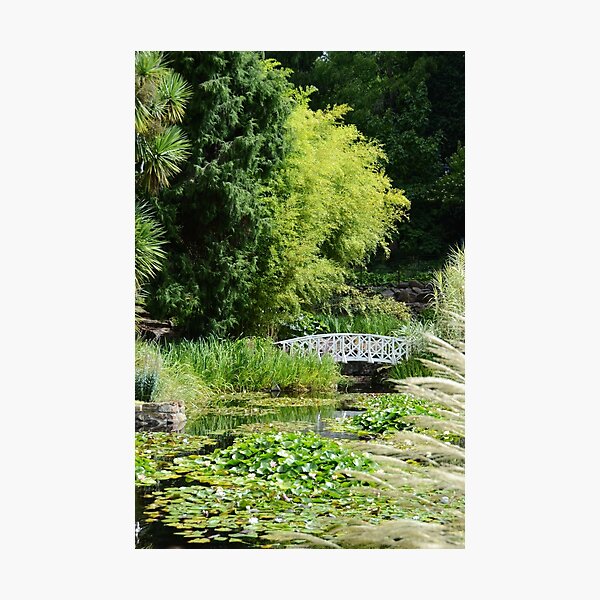 serenity Photographic Print