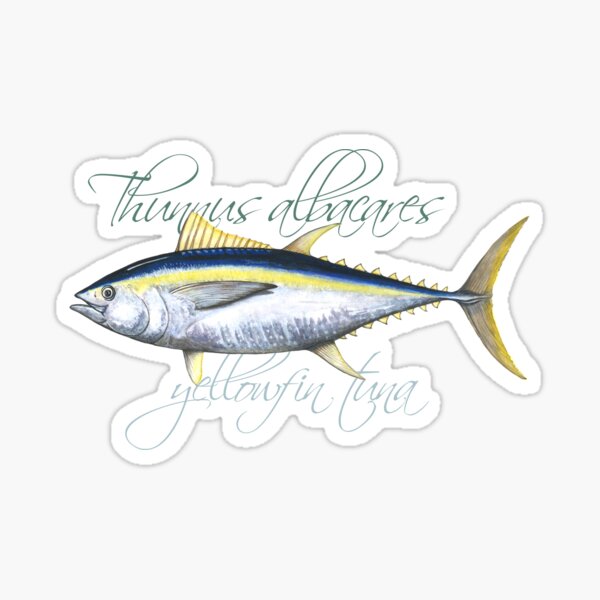 Yellowfin Tuna · Thunnus albacares Sticker