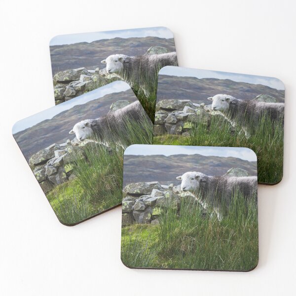 Item preview, Herdwick Sheep designed and sold by Jane Stanley Photography.