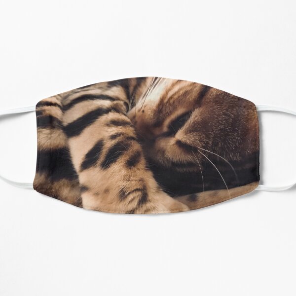 Catnap Flat Mask