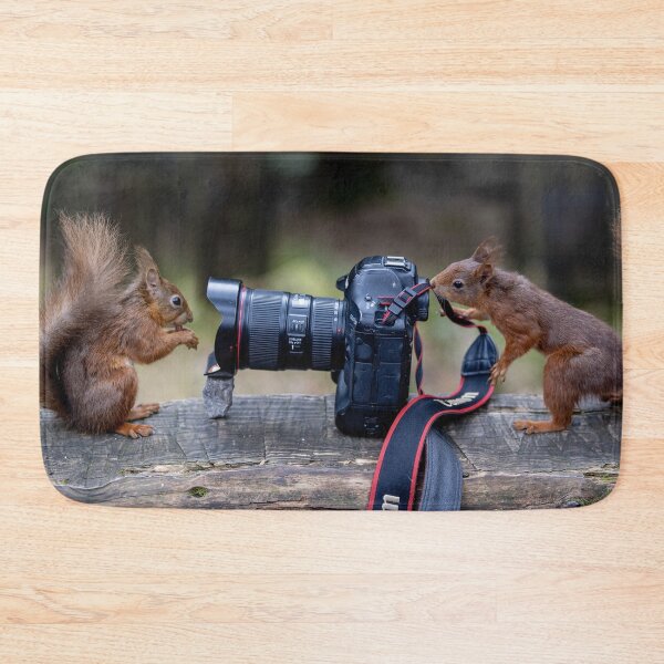 Item preview, Taking Pictures Red Squirrels  designed and sold by Charlotte  Graham.