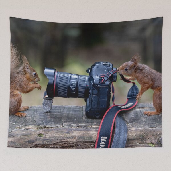 Item preview, Taking Pictures Red Squirrels  designed and sold by Charlotte  Graham.