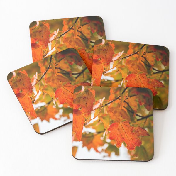 Item preview, Seasons Change designed and sold by Daniel's Destinations.