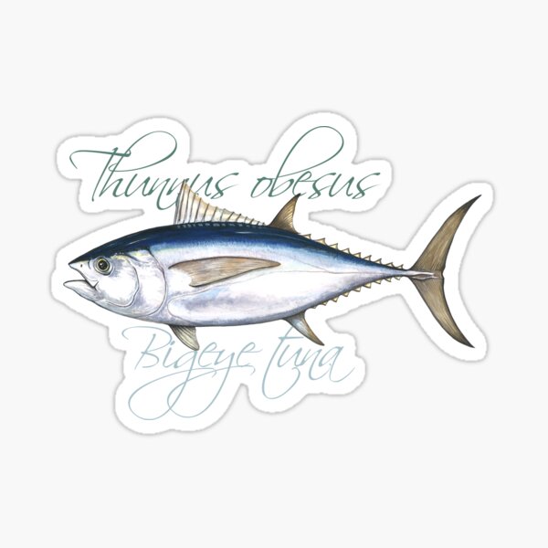 Bigeye Tuna · Thunnus obesus Sticker