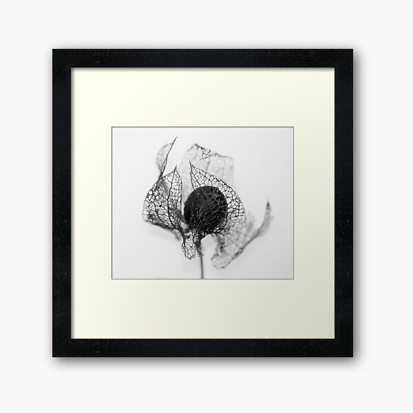 Protection ~ Seedhead - JUSTART © Framed Art Print
