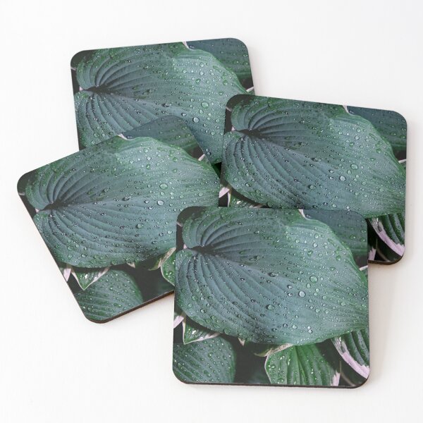 Item preview, Raindrops designed and sold by Daniel's Destinations.