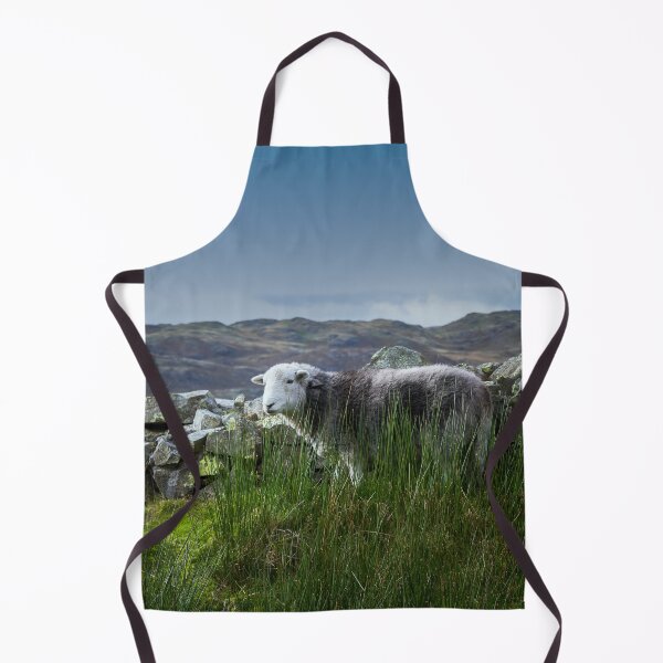 Item preview, Herdwick Sheep designed and sold by Jane Stanley Photography.