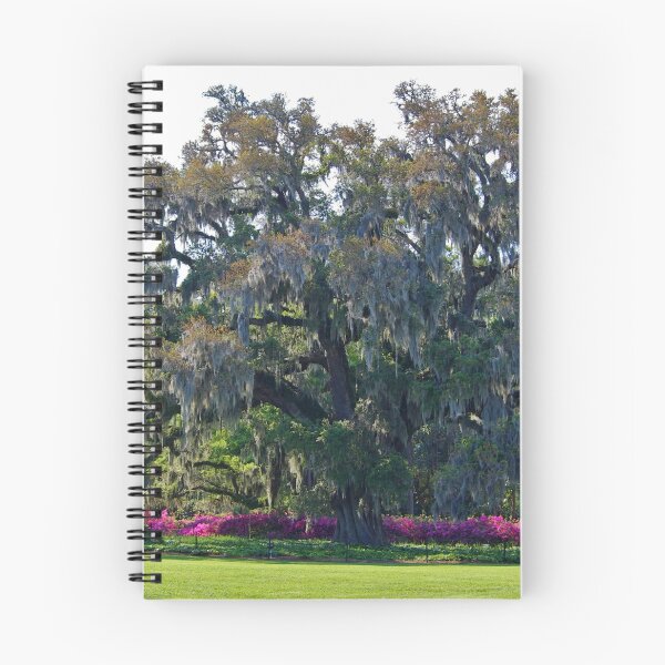 Item preview, Airlie Oak In The Spring designed and sold by Cynthia48.