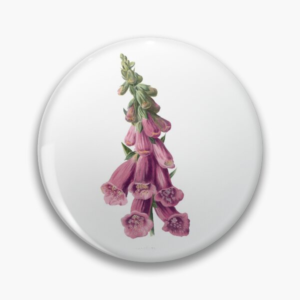 Item preview, Foxglove Print, Original Flower Print, Botanical Antique, Antique print, Foxglove Wall art, Foxglove Flower, Botanical Prints designed and sold by Studio66Designs.