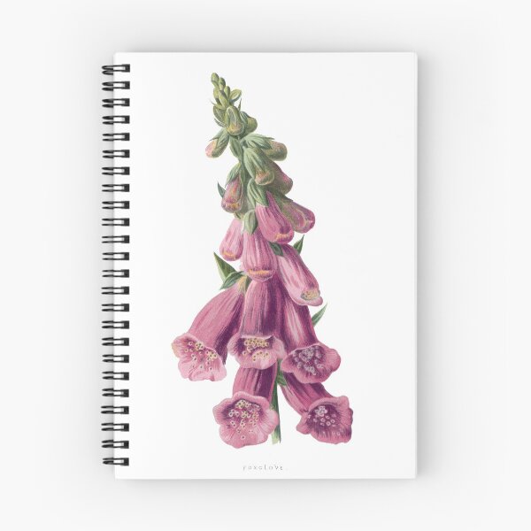 Item preview, Foxglove Print, Original Flower Print, Botanical Antique, Antique print, Foxglove Wall art, Foxglove Flower, Botanical Prints designed and sold by Studio66Designs.