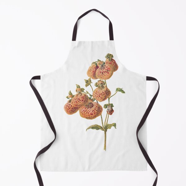 Item preview, Slipper flowers, lady's purse, pocketbook flower, slipperwort, Calceolaria, Plants Print, Original Flower Print, Botanical Antique, Antique print, Foxglove Wall art, Foxglove Flower, Botanical Prints designed and sold by Studio66Designs.