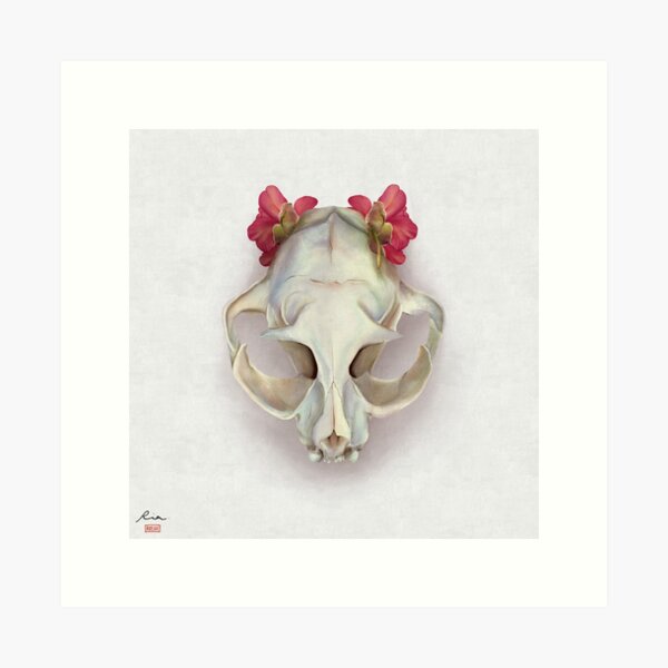 Cat skull and Itoh Peony Julia Rose Art Print