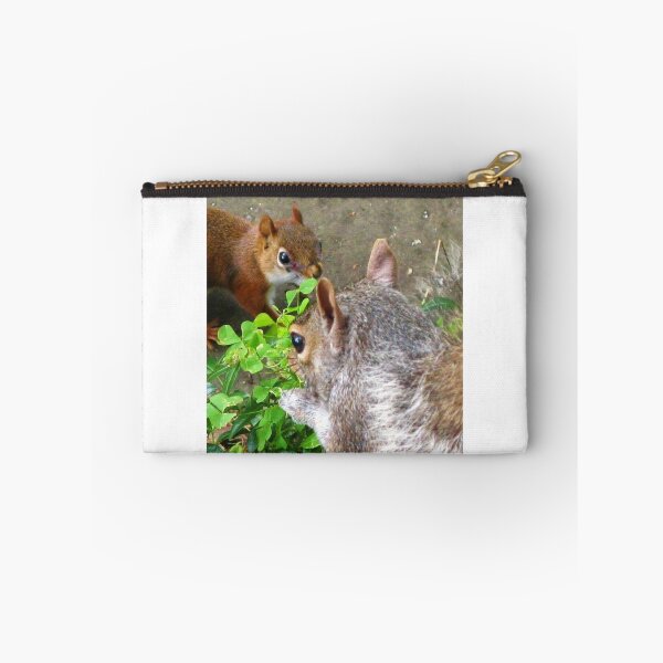 Item preview, One More Squirrely Picture, For Now... designed and sold by artwhiz47.