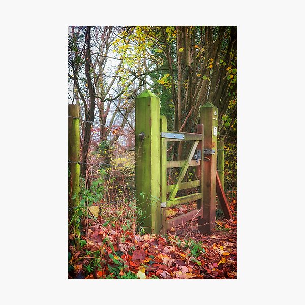 The gate to the wood Photographic Print