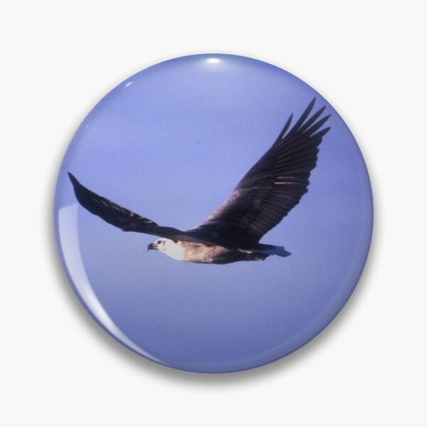Item preview, Sea Eagle, Tathra, Australia 2002 designed and sold by muz2142.