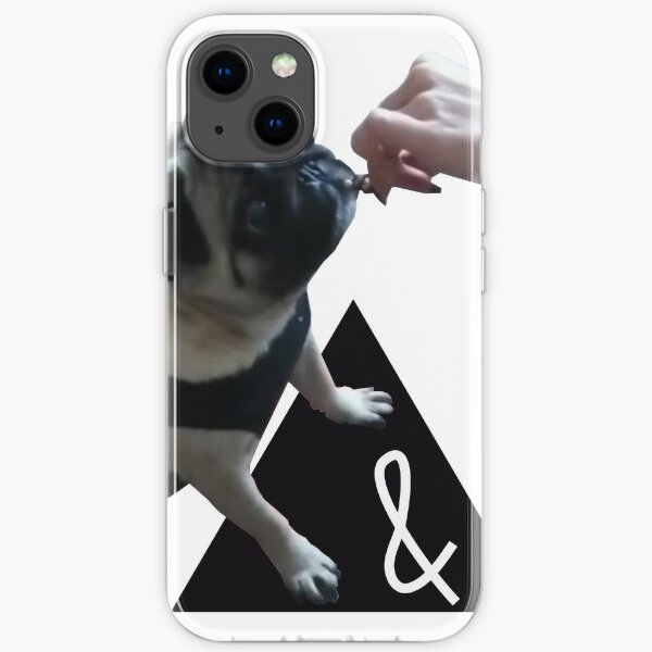 Pug dog and chocolate iPhone Soft Case