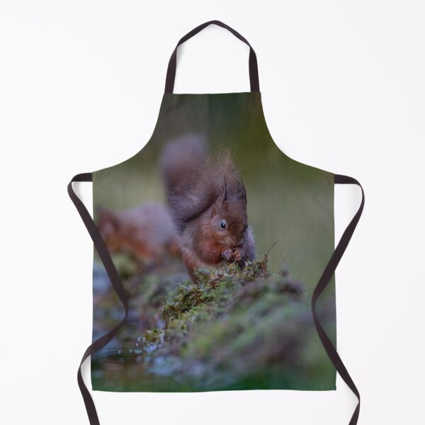 Item preview, Red Squirrel in The Forest designed and sold by Charlotte Graham.