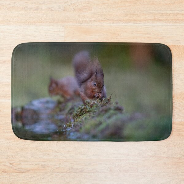 Item preview, Red Squirrel in The Forest  designed and sold by Charlotte  Graham.