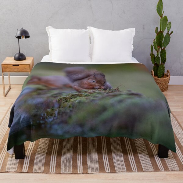 Item preview, Red Squirrel in The Forest  designed and sold by Charlotte  Graham.