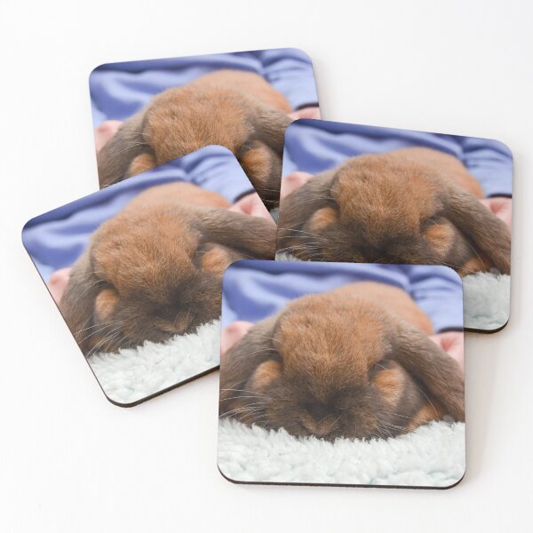 Item preview, Lop Ear Rabbit designed and sold by Ksswaden.