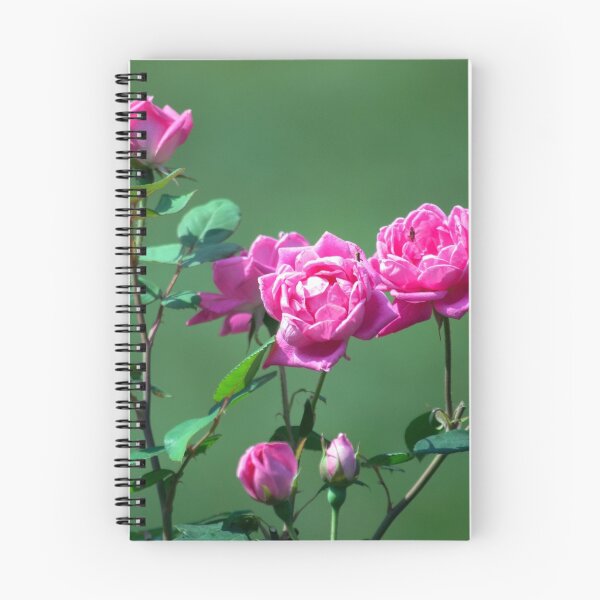 Item preview, Longwood Gardens - Spring Series 172 designed and sold by sarahshanely.