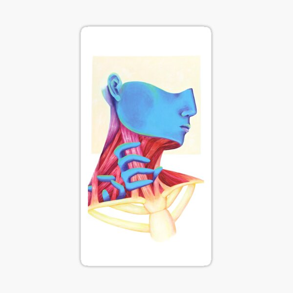 Anatomy #1 Sticker