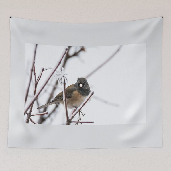 Item preview, Dark-eyed Junco on Snowy Branches by Debra Martz designed and sold by Debra Martz.