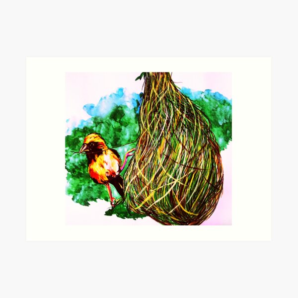 Vogelzeichnung Geschenke Merchandise Redbubble