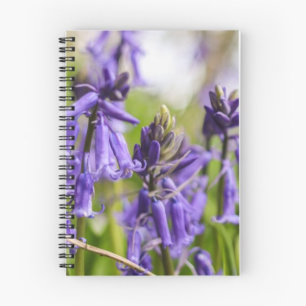 Item preview, Bluebell Flower designed and sold by Northern Pix.