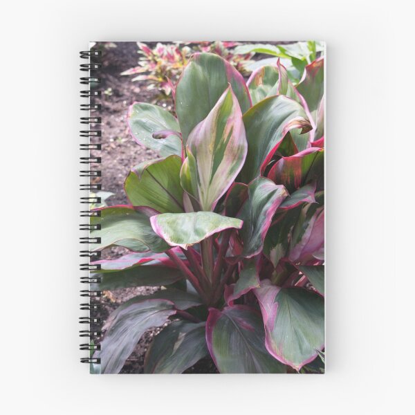 Item preview, Longwood Gardens - Spring Series 161 designed and sold by sarahshanely.