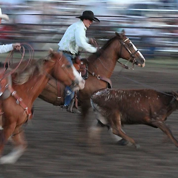Vorschaubild zum Design Team Roping von Rodeo-Photos