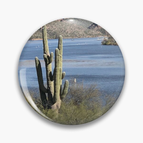 Artikelvorschau, Kaktus am Canyon Lake AZ entworfen und verkauft von Lynda & Ralph Homan.