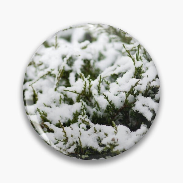 Item preview, Winter Green designed and sold by DoodleBugImages.