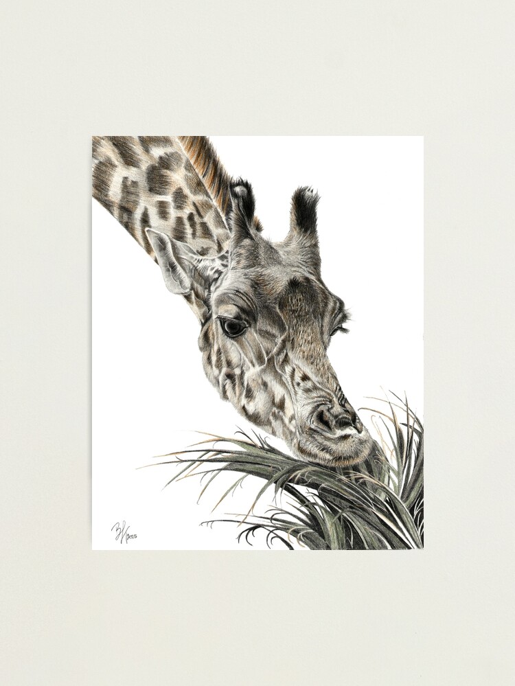 Thumbnail 2 of 3, Photographic Print, A Long Munch designed and sold by Beth Thompson.