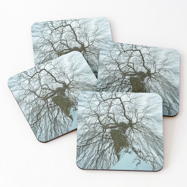 Item preview, Treetop in winter designed and sold by Markus Holsträter.