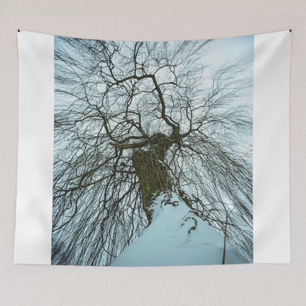 Item preview, Treetop in winter designed and sold by Markus Holsträter.